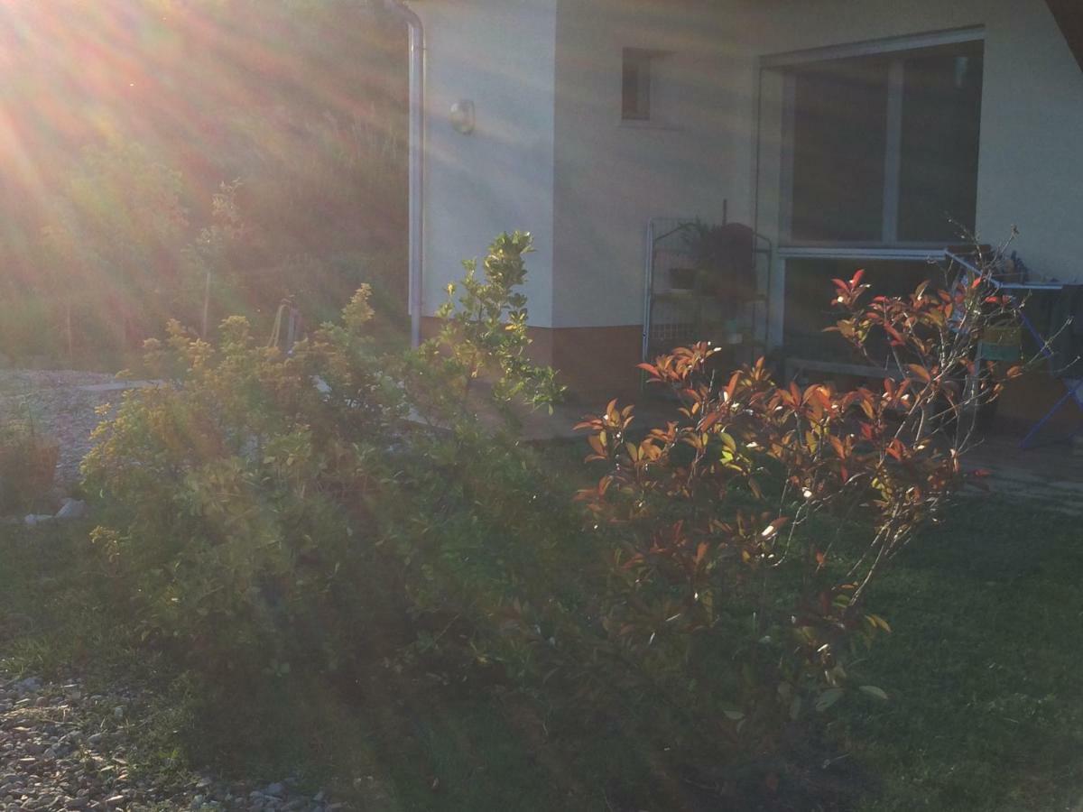 B&B Al Tardino Sogliano al Rubicone エクステリア 写真
